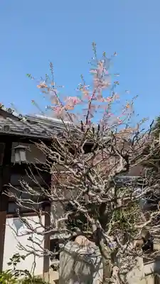 後白河院御聖蹟　法住寺(京都府)