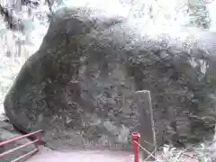 名草厳島神社の自然