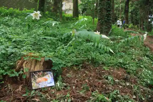鹿島大神宮の体験その他