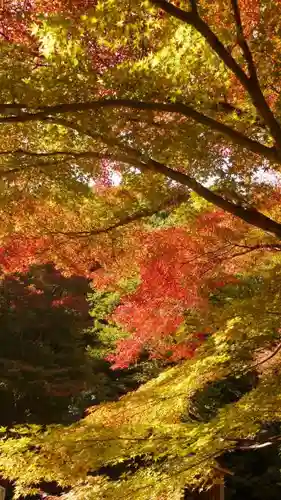 吟松寺の自然