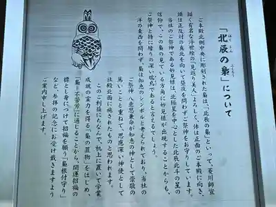 秩父神社(埼玉県)