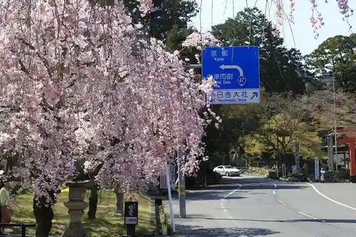 日吉大社(滋賀県)