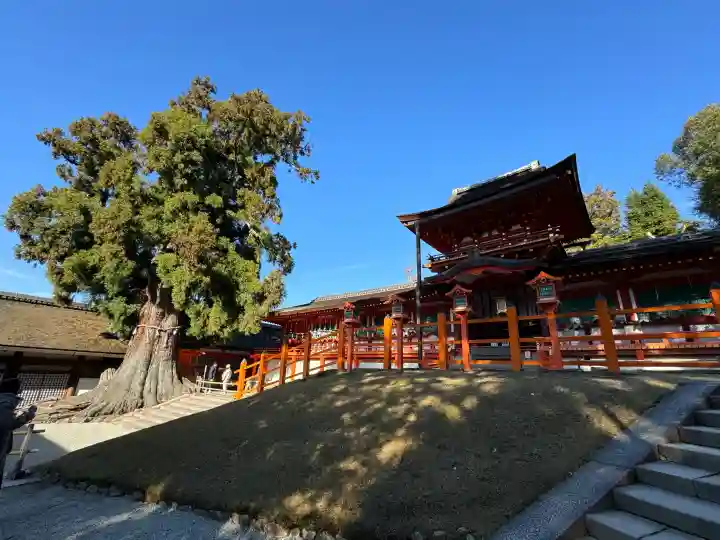 春日大社(奈良県)