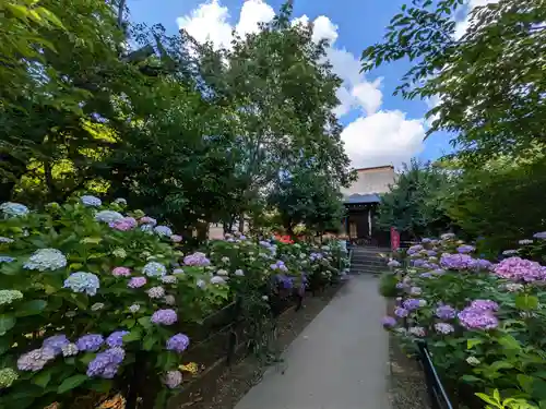 本土寺のその他建物