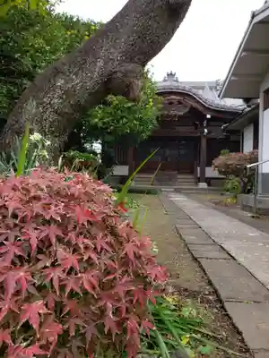 蓮乗院の本殿・本堂