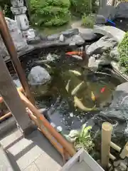 尾張猿田彦神社の庭園