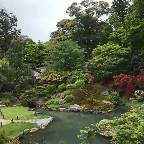 青蓮院門跡の庭園
