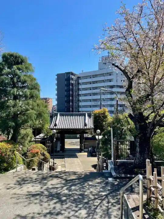 本立寺の{uncategorized: "未分類", other: "その他", undefined: "問題あり", building: "その他建物", grave: "お墓", sacred_gate: "鳥居", guardian: "狛犬", statue: "像", buddha: "仏像", history: "歴史", nature: "自然", garden: "庭園", animal: "動物", pagoda: "塔", temizu: "手水舎", mountain_gate: "山門・神門", sanctuary: "本殿・本堂", subordinate: "末社・摂社", art: "芸術", scenery: "景色", jizo: "地蔵", ema: "絵馬", goshuin: "御朱印", omikuji: "おみくじ", items: "授与品その他", amulet: "お守り", goshuincho: "御朱印帳", eats: "食事", festival: "お祭り", votive_dance: "神楽", shichigosan: "七五三参", wedding: "結婚式", experience: "体験その他", initially: "初詣", around: "周辺", anti_infection: "感染症対策"}