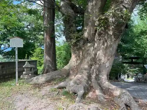 諏訪大社上社前宮(長野県)
