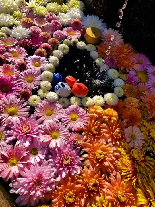 曹洞宗 永松山 龍泉寺の手水舎