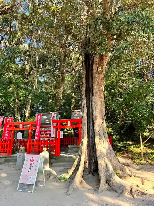 香椎宮(福岡県)