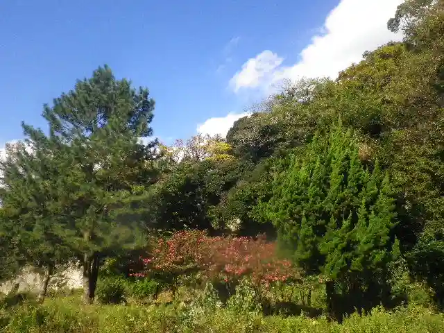 東勝寺跡の自然