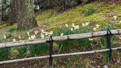 真正極楽寺（真如堂）(京都府)