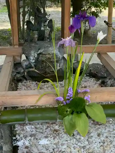 和泉國一之宮　大鳥大社の{uncategorized: "未分類", other: "その他", undefined: "問題あり", building: "その他建物", grave: "お墓", sacred_gate: "鳥居", guardian: "狛犬", statue: "像", buddha: "仏像", history: "歴史", nature: "自然", garden: "庭園", animal: "動物", pagoda: "塔", temizu: "手水舎", mountain_gate: "山門・神門", sanctuary: "本殿・本堂", subordinate: "末社・摂社", art: "芸術", scenery: "景色", jizo: "地蔵", ema: "絵馬", goshuin: "御朱印", omikuji: "おみくじ", items: "授与品その他", amulet: "お守り", goshuincho: "御朱印帳", eats: "食事", festival: "お祭り", votive_dance: "神楽", shichigosan: "七五三参", wedding: "結婚式", experience: "体験その他", initially: "初詣", around: "周辺", anti_infection: "感染症対策"}