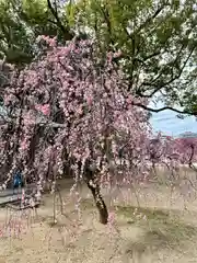 屯倉神社(大阪府)