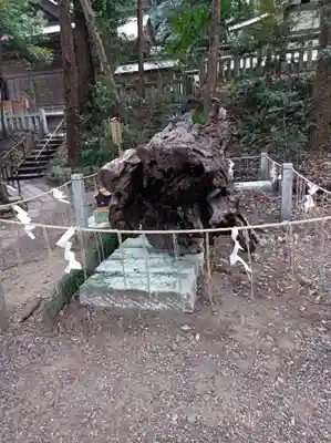 泉神社の御朱印