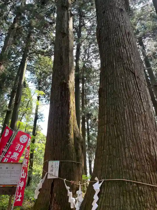 羽黒山神社(栃木県)