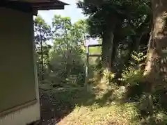 富士浅間神社の自然