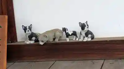 道明寺(大阪府)