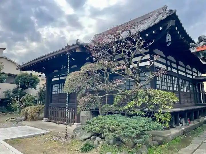 浄心寺の{uncategorized: "未分類", other: "その他", undefined: "問題あり", building: "その他建物", grave: "お墓", sacred_gate: "鳥居", guardian: "狛犬", statue: "像", buddha: "仏像", history: "歴史", nature: "自然", garden: "庭園", animal: "動物", pagoda: "塔", temizu: "手水舎", mountain_gate: "山門・神門", sanctuary: "本殿・本堂", subordinate: "末社・摂社", art: "芸術", scenery: "景色", jizo: "地蔵", ema: "絵馬", goshuin: "御朱印", omikuji: "おみくじ", items: "授与品その他", amulet: "お守り", goshuincho: "御朱印帳", eats: "食事", festival: "お祭り", votive_dance: "神楽", shichigosan: "七五三参", wedding: "結婚式", experience: "体験その他", initially: "初詣", around: "周辺", anti_infection: "感染症対策"}