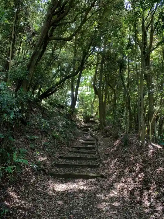 大杉神社の周辺