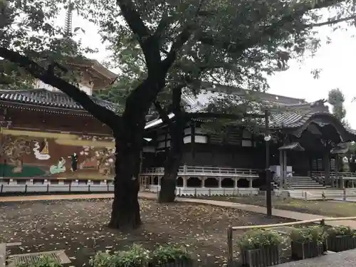 祐天寺の自然