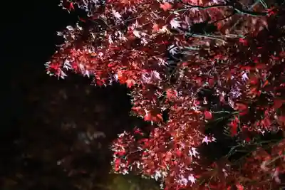 北広島市総鎮守　廣島神社(北海道)