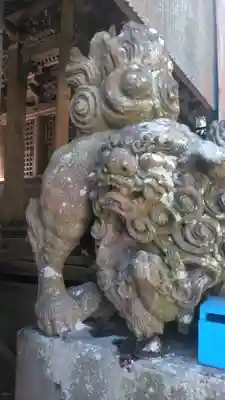 八坂社 (富来神社) の狛犬
