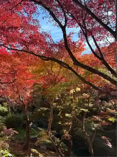 東福禅寺（東福寺）(京都府)