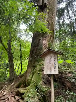 花園神社の{uncategorized: "未分類", other: "その他", undefined: "問題あり", building: "その他建物", grave: "お墓", sacred_gate: "鳥居", guardian: "狛犬", statue: "像", buddha: "仏像", history: "歴史", nature: "自然", garden: "庭園", animal: "動物", pagoda: "塔", temizu: "手水舎", mountain_gate: "山門・神門", sanctuary: "本殿・本堂", subordinate: "末社・摂社", art: "芸術", scenery: "景色", jizo: "地蔵", ema: "絵馬", goshuin: "御朱印", omikuji: "おみくじ", items: "授与品その他", amulet: "お守り", goshuincho: "御朱印帳", eats: "食事", festival: "お祭り", votive_dance: "神楽", shichigosan: "七五三参", wedding: "結婚式", experience: "体験その他", initially: "初詣", around: "周辺", anti_infection: "感染症対策"}