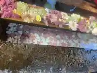 石浦神社(石川県)