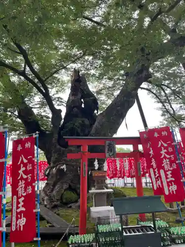 秩父今宮神社(埼玉県)