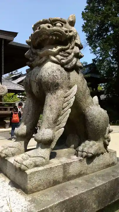智恩寺の狛犬