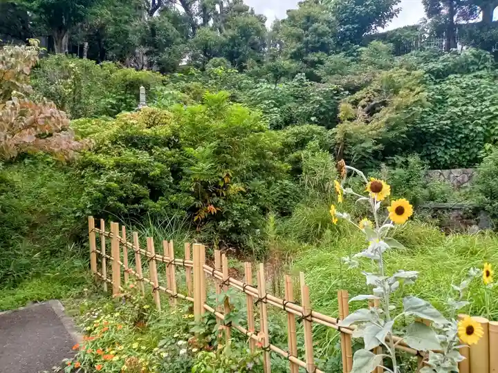 白金氷川神社の自然