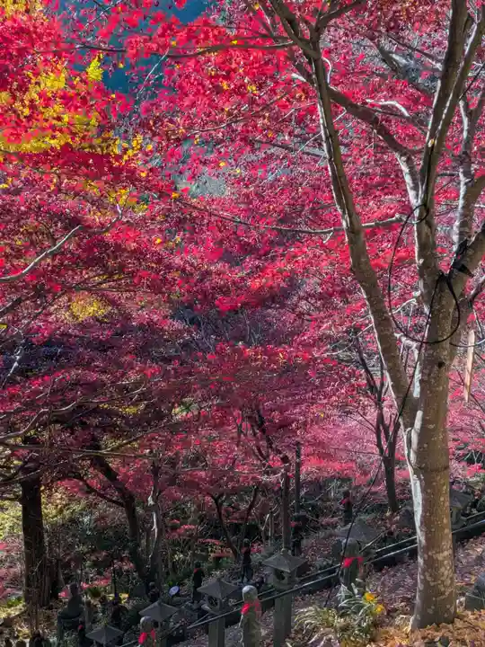 大山寺(神奈川県)
