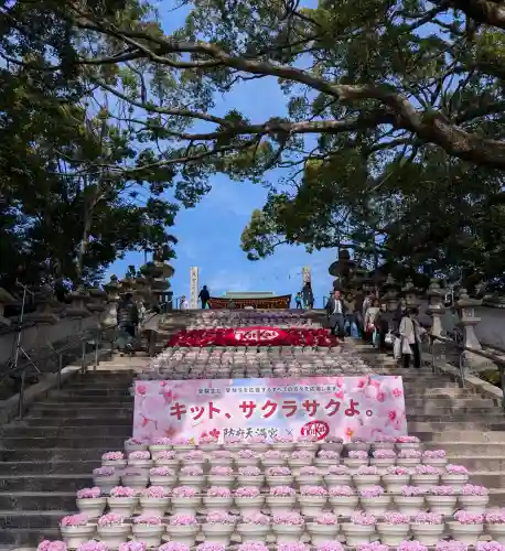 防府天満宮の{uncategorized: "未分類", other: "その他", undefined: "問題あり", building: "その他建物", grave: "お墓", sacred_gate: "鳥居", guardian: "狛犬", statue: "像", buddha: "仏像", history: "歴史", nature: "自然", garden: "庭園", animal: "動物", pagoda: "塔", temizu: "手水舎", mountain_gate: "山門・神門", sanctuary: "本殿・本堂", subordinate: "末社・摂社", art: "芸術", scenery: "景色", jizo: "地蔵", ema: "絵馬", goshuin: "御朱印", omikuji: "おみくじ", items: "授与品その他", amulet: "お守り", goshuincho: "御朱印帳", eats: "食事", festival: "お祭り", votive_dance: "神楽", shichigosan: "七五三参", wedding: "結婚式", experience: "体験その他", initially: "初詣", around: "周辺", anti_infection: "感染症対策"}