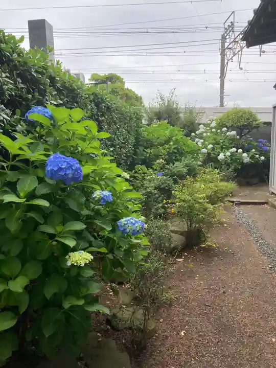 寳積院(宝積院)の自然