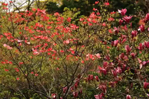 開成山大神宮の庭園