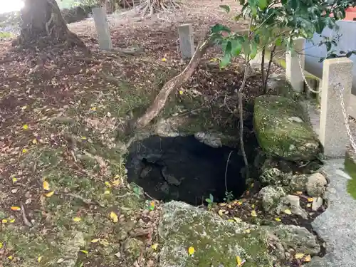 世並蔵神社の建物その他