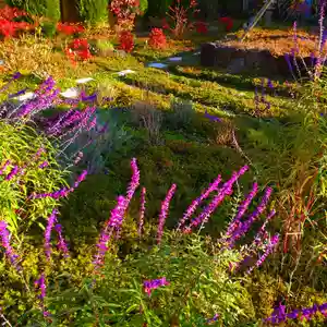 寿量山 速成寺(奈良県)(2022年11月30日(水) 07時51分42秒投稿)