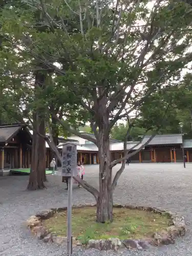 北海道神宮の自然
