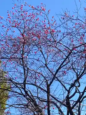 留魂祠（西郷隆盛碑）(東京都)