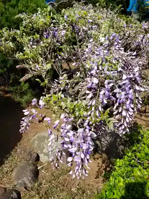 本寿院(東京都)