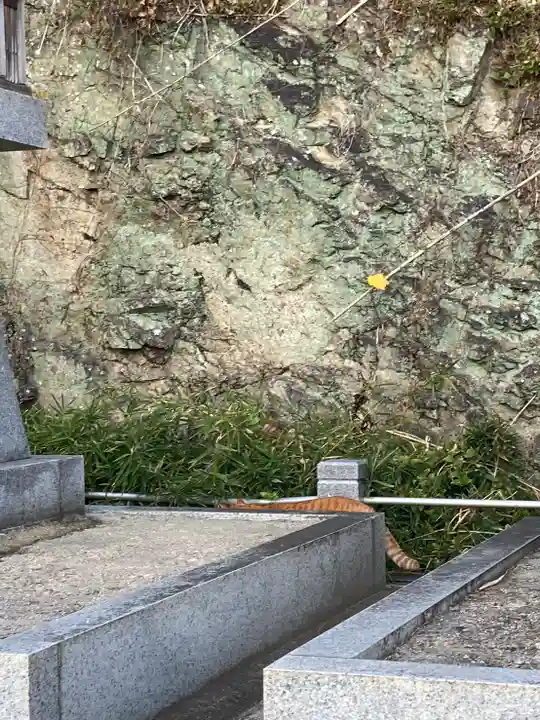 金刀比羅社(兵庫県)