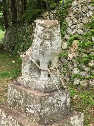 坂本八幡神社の狛犬