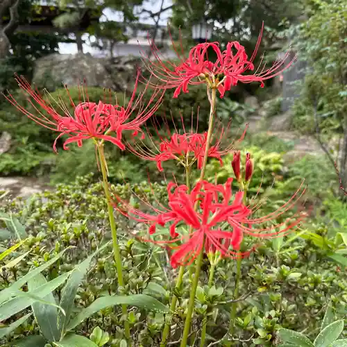 豊景神社(福島県)