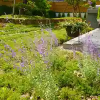 寿量山 速成寺の自然