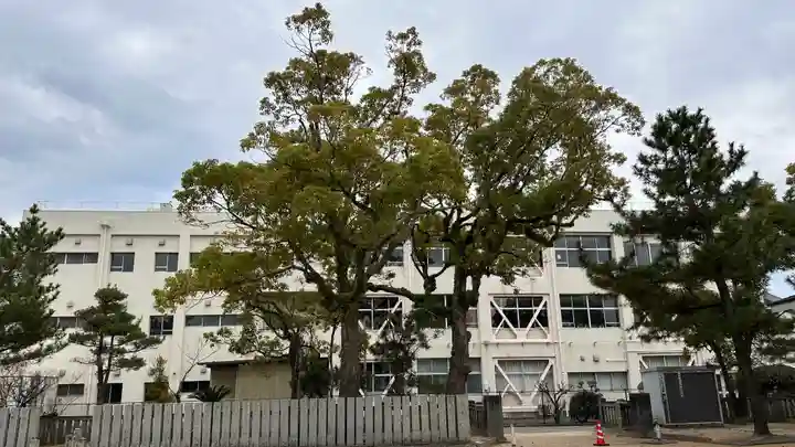 天満神社(徳島県)