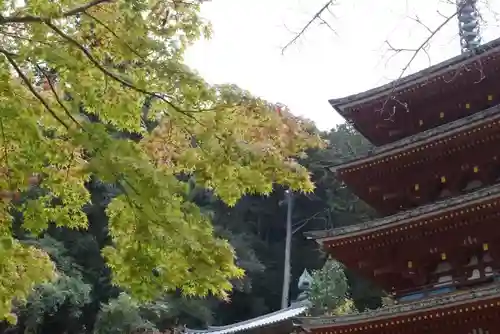 長谷寺のその他建物