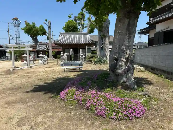 建速神社(兵庫県)